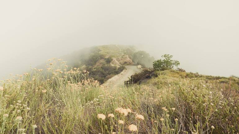 Original  Photography by Jin-Woo Prensena