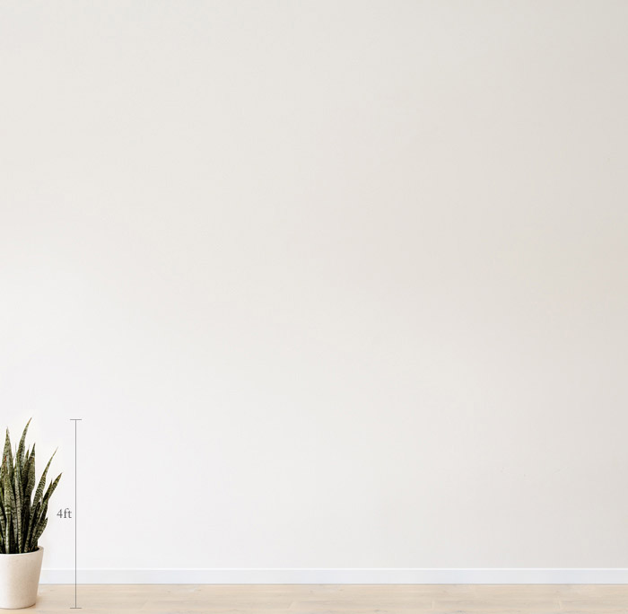 View in a Room Background